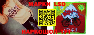 гидропоника Новозыбков