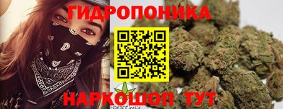 трава Новодвинск