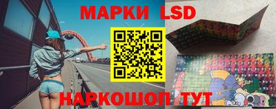гидропоника Новозыбков