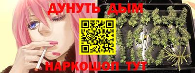 гидропоника Новозыбков