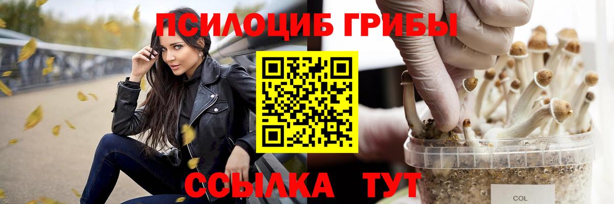 Феодосия  Галлюциногенные грибы прущие грибы  Вход с VPN 